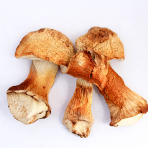 Quais são os benefícios dos cogumelos para a saúde?